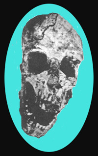 Reck's Skull